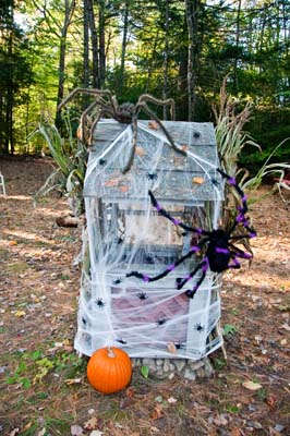 Harry & Harriette Spiders