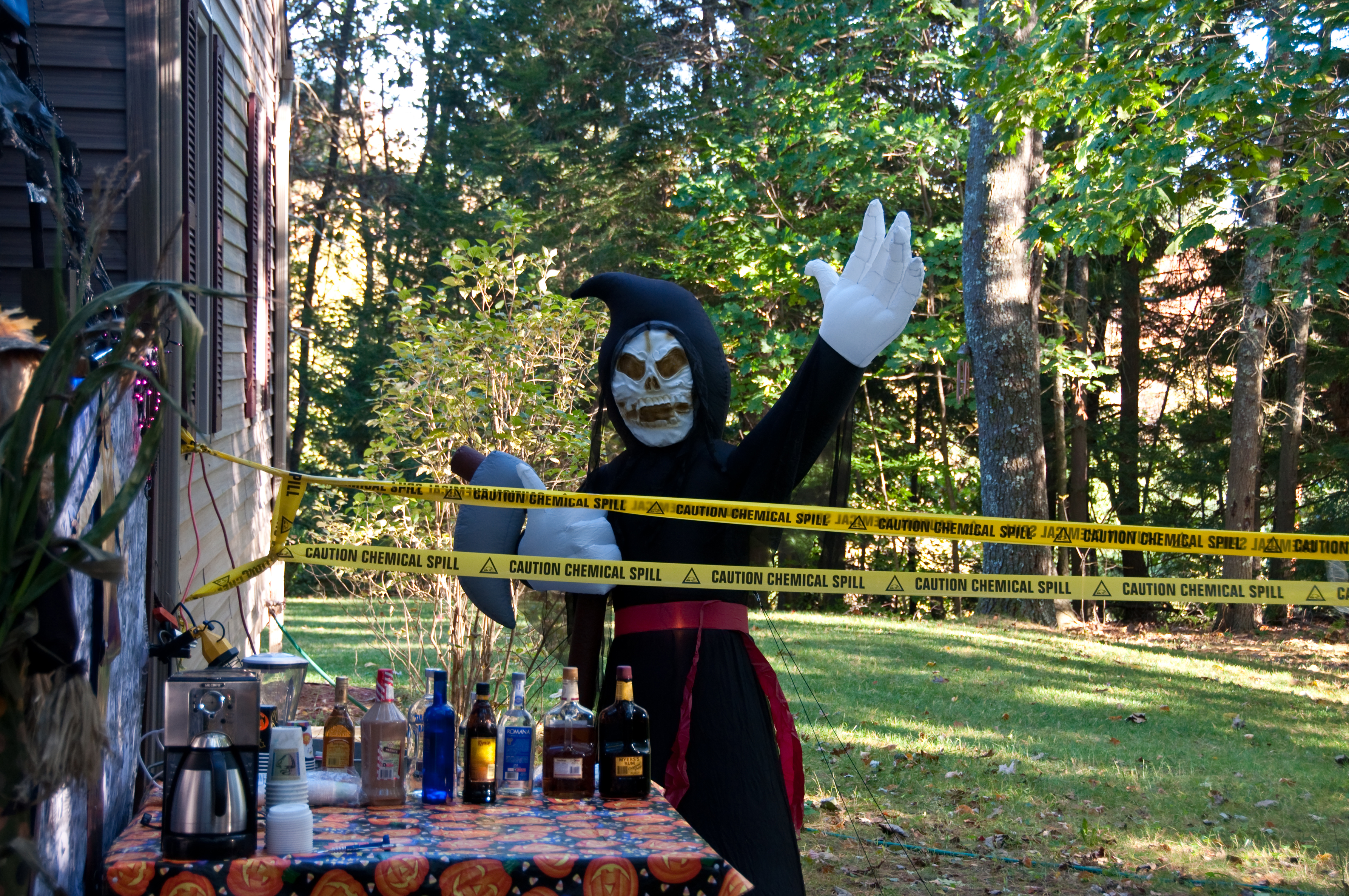 Mr Friendly Guarding The Bar