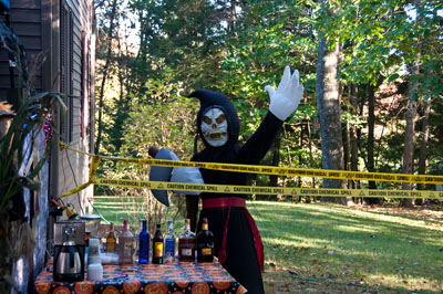 Mr Friendly Guarding The Bar