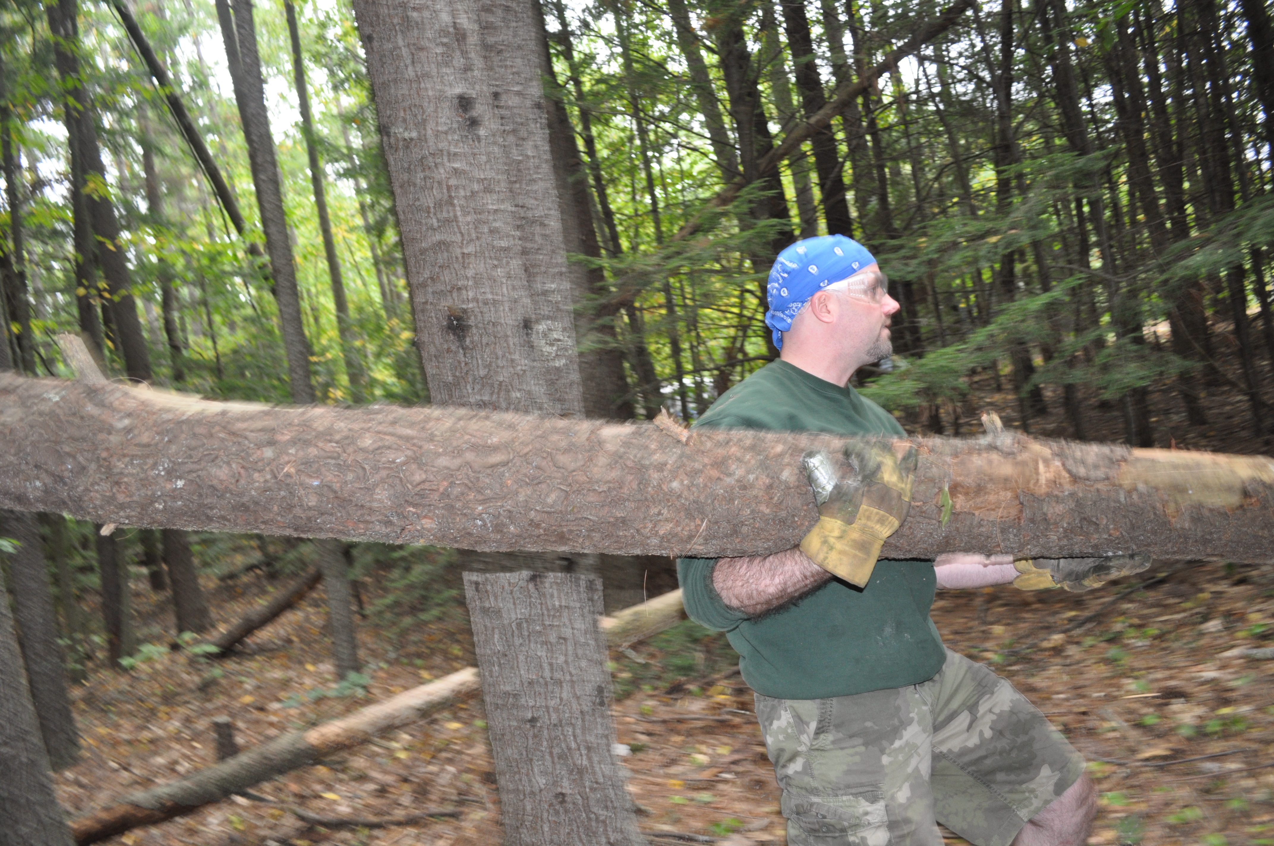 Carrying away the lumber